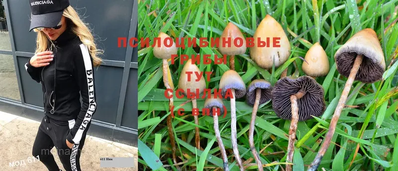 Псилоцибиновые грибы MAGIC MUSHROOMS  это как зайти  Аша  магазин продажи  